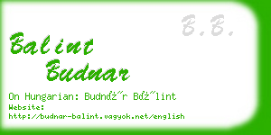balint budnar business card